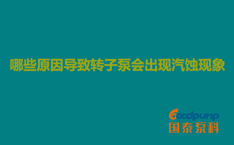 哪些原因导致转子泵会出现汽蚀现象